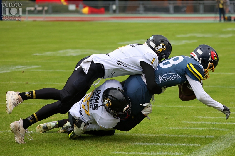 Klicken für Bild in voller Größe