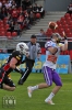 20140517-vikings-IMG_1111.jpg