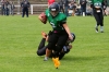 Dateiname=20190608-shamrocks-IMG_9209.JPG
Dateigröße=286KB
Abmessungen: 900x600
hinzugefügt am: 28. August 2021 20190608-shamrocks-IMG_9209.JPG