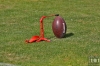 Dateiname=20220814_football-JMG_0477.jpg
Dateigröße=318KB
Abmessungen: 900x600
hinzugefügt am: 13. Dezember 2023 20220814_football-JMG_0477.jpg