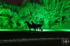 Dateiname=IMG_2566.jpg
Dateigröße=453KB
Abmessungen: 900x600
hinzugefügt am: 28. Mai 2019 IMG_2566.jpg