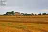 Dateiname=20180817_herbst_IMG_8254.jpg
Dateigröße=271KB
Abmessungen: 900x600
hinzugefügt am: 29. September 2020 20180817_herbst_IMG_8254.jpg