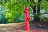Dateiname=20190703_Hydrant_111522.jpg
Dateigröße=541KB
Abmessungen: 900x600
hinzugefügt am: 29. September 2020 20190703_Hydrant_111522.jpg