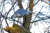 Dateiname=20170122-kranich-IMG_0208.jpg
Dateigröße=345KB
Abmessungen: 900x600
hinzugefügt am: 03. Dezember 2018 20170122-kranich-IMG_0208.jpg