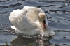 Dateiname=20170420-schwan-IMG_9333.jpg
Dateigröße=207KB
Abmessungen: 900x600
hinzugefügt am: 03. Dezember 2018 20170420-schwan-IMG_9333.jpg