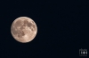 Dateiname=20160718-mond-IMG_6532.jpg
Dateigröße=65KB
Abmessungen: 900x600
hinzugefügt am: 02. August 2017 20160718-mond-IMG_6532.jpg