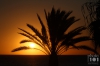 Dateiname=20160807_sunrising_IMG_7732.jpg
Dateigröße=155KB
Abmessungen: 900x600
hinzugefügt am: 30. August 2019 20160807_sunrising_IMG_7732.jpg