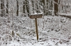 Dateiname=20171202_schnee_IMG_9419.jpg
Dateigröße=412KB
Abmessungen: 900x600
hinzugefügt am: 30. August 2019 20171202_schnee_IMG_9419.jpg