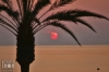 Dateiname=20180824_Sonnenaufgang_IMG_9091.jpg
Dateigröße=142KB
Abmessungen: 900x600
hinzugefügt am: 30. August 2019 20180824_Sonnenaufgang_IMG_9091.jpg