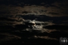 Dateiname=20210820-mond-wolken-IMG_3635.JPG
Dateigröße=95KB
Abmessungen: 900x600
hinzugefügt am: 05. Juni 2023 20210820-mond-wolken-IMG_3635.JPG