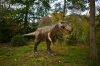 Dateiname=20211014-Dino_IMG_0734.JPG
Dateigröße=388KB
Abmessungen: 900x600
hinzugefügt am: 05. Juni 2023 20211014-Dino_IMG_0734.JPG
